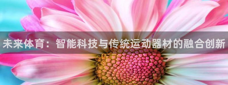 必发官方正版app集团官网首页