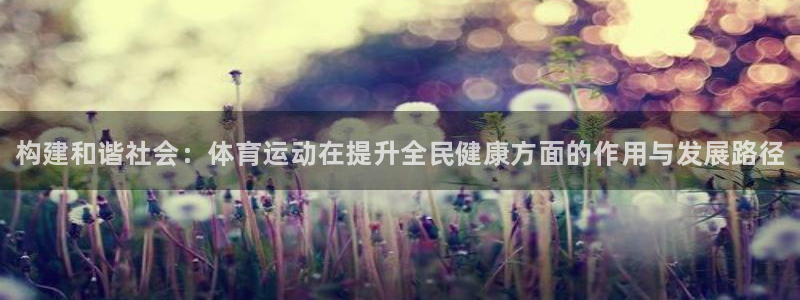 必发官方正版app娱乐代理怎么样：构建和谐社会：体育