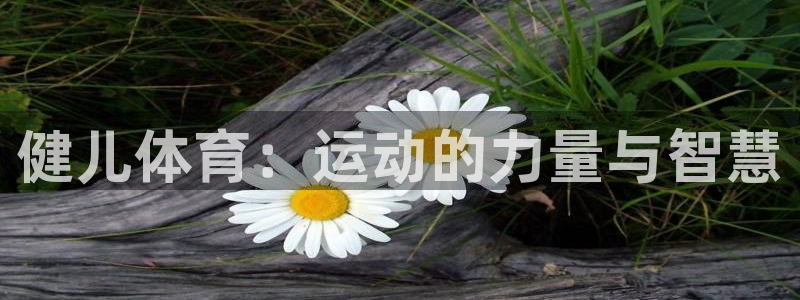 必发官方正版app科技：健儿体育：运动的力量与智慧