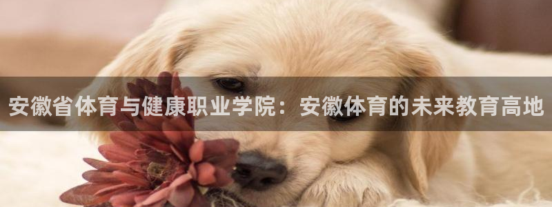 必发官网下载招商电话号码是多少：安徽省体育与健康职业学院：安