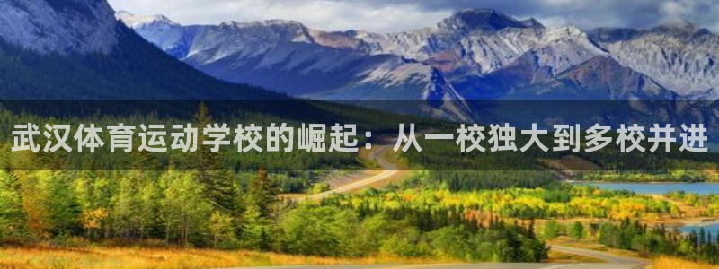必发官网下载平台：武汉体育运动学校的崛起：从一校独大到多校并