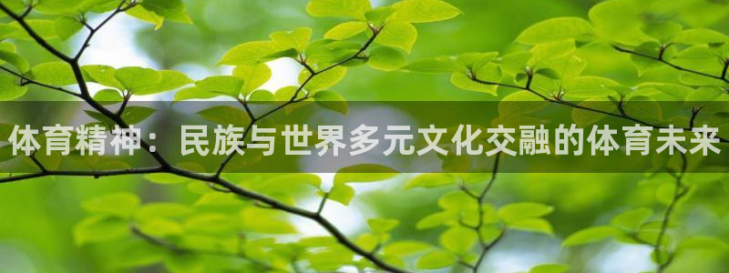 必发官网下载招商电话号码是多少啊：体育精神：民族与世界多元文