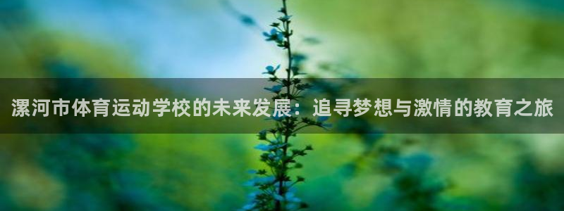 必发官网下载招商电话地址是多少：漯河市体育运动学校的