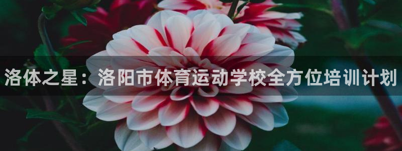 必发官方正版app集团logo