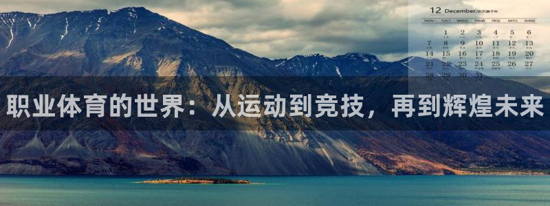 必发官网下载招商电话是多少：职业体育的世界：从运动到