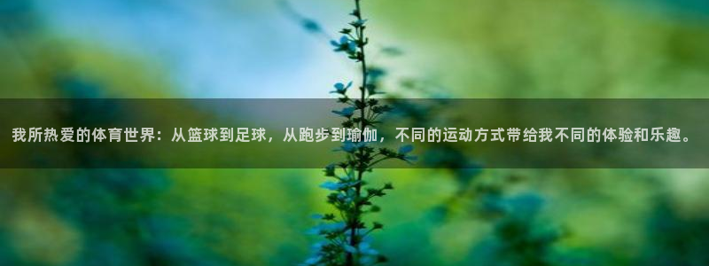 必发官方正版app娱乐