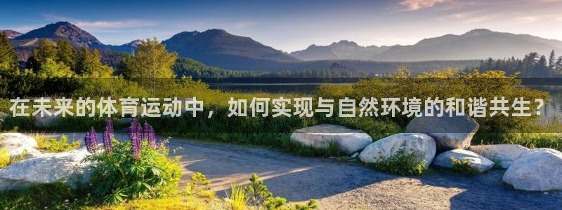 必发官网下载平台是正规平台吗：在未来的体育运动中，如