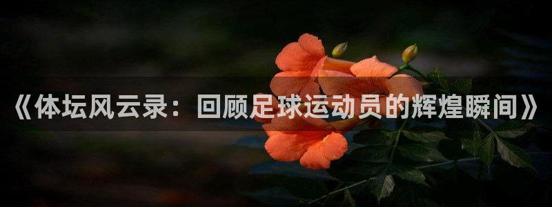 必发官网下载招商电话