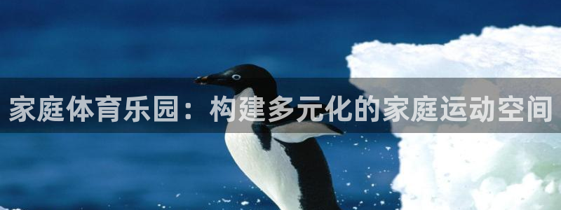 注册必发官方正版app：家庭体育乐园：构建多元化的家