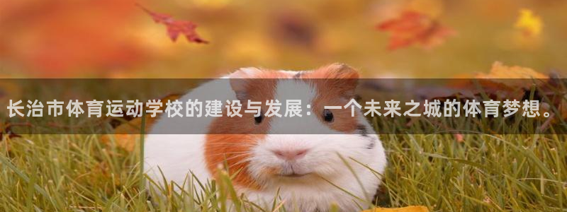 必发官网下载娱乐：长治市体育运动学校的建设与发展：一