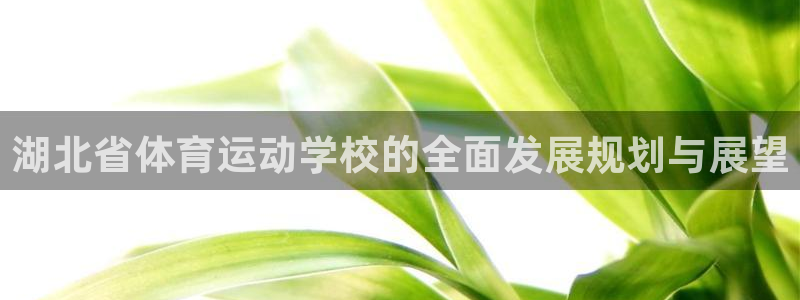 必发官方正版app集团官网首页网址：湖北省体育运动学校的全面