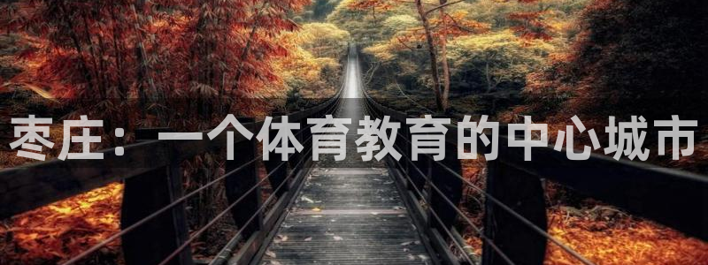 必发官网下载招商电话号码是多少啊：枣庄：一个体育教育