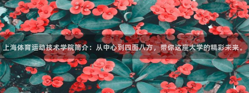 必发官网下载是干嘛的公司：上海体育运动技术学院简介：