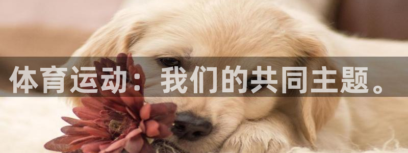 必发官网下载平台注册：体育运动：我们的共同主题。