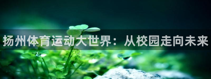 必发官方正版app代理
