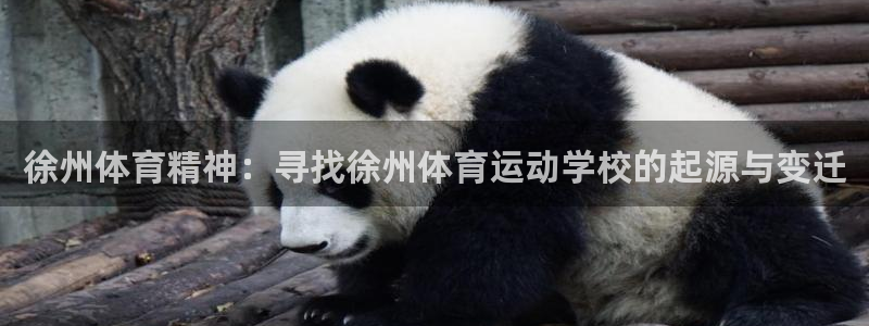 必发官网下载招商电话号码查询是多少：徐州体育精神：寻找徐州体