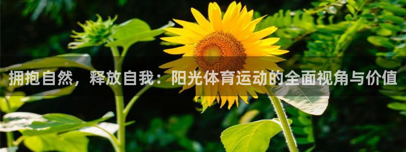 德国必发官方正版app集团：拥抱自然，释放自我：阳光体育运动