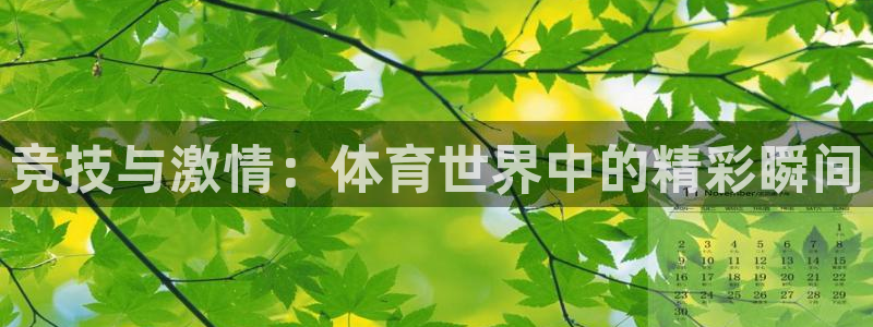 必发官网下载软件：竞技与激情：体育世界中的精彩瞬间