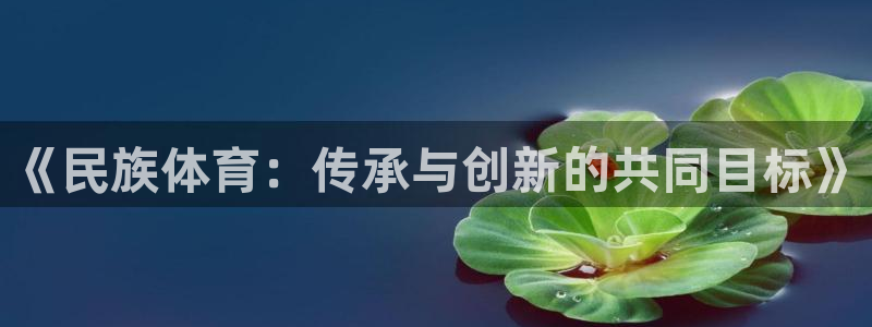 必发官网下载平台注册要钱吗：《民族体育：传承与创新的共同目标