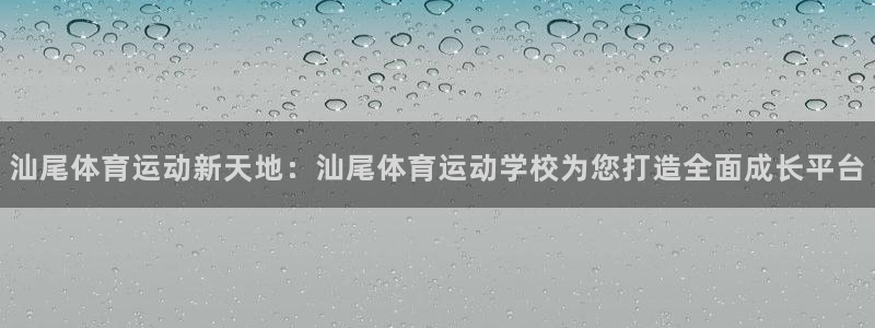必发官方正版app五金厂