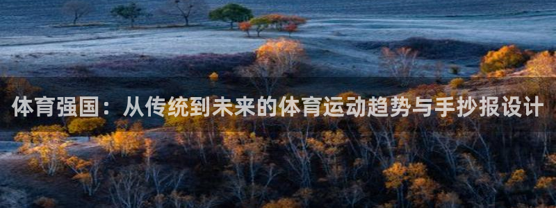 必发官方集团官网：体育强国：从传统到未来的体育运动趋势与手抄