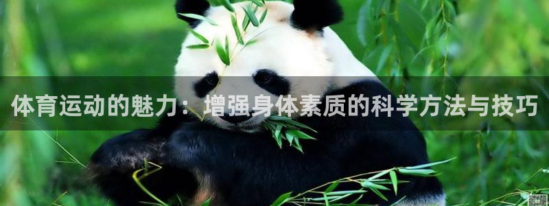 必发官网下载平台APP