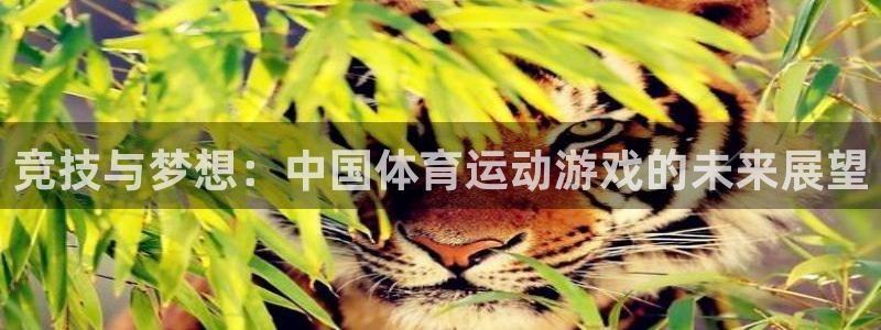 必发官方正版app神州：竞技与梦想：中国体育运动游戏的未来展