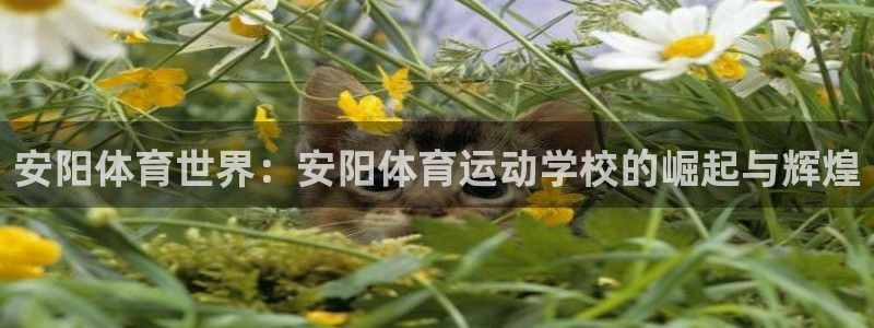 必发官方正版app集团官网首页网址：安阳体育世界：安阳体育运