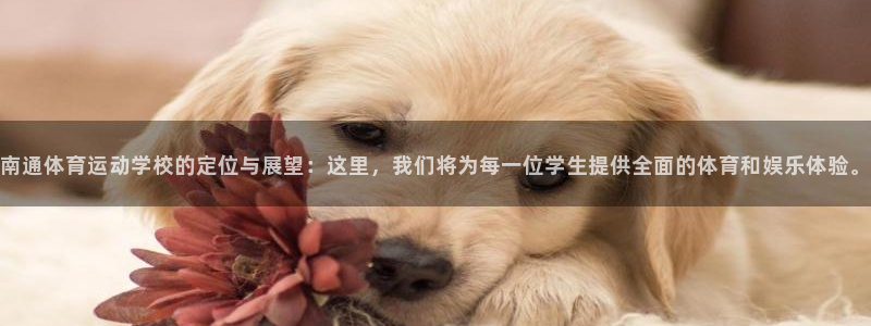  必发平台正规吗：南通体育运动学校的定位与展望：这里，我们将为