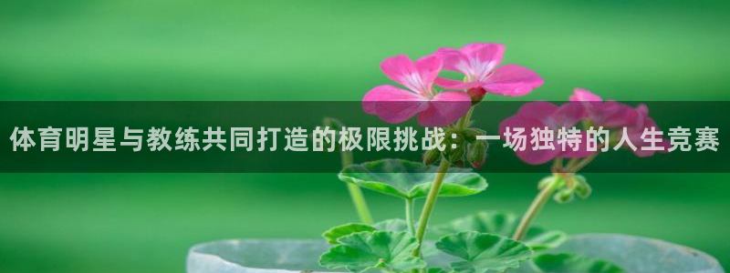 必发集团-活动大厅：体育明星与教练共同打造的极限挑战：一场独