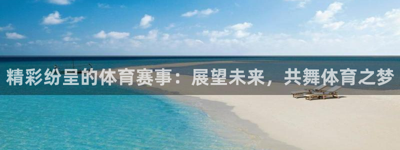 必发平台是什么：精彩纷呈的体育赛事：展望未来，共舞体育之梦