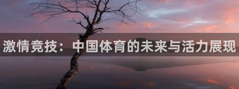 必发集团游戏大全：激情竞技：中国体育