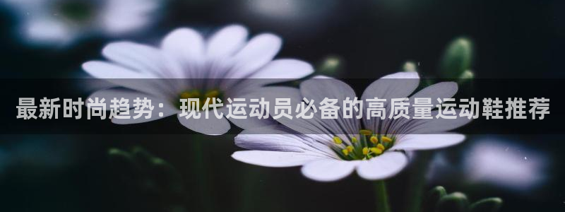 必发bf88登录官网入口：最新时尚趋势：现代运动员必备的高质