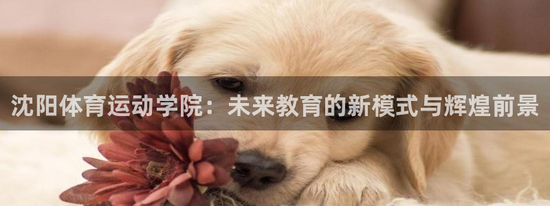  必发官方网站app下载最新版本安装：沈阳体育运动学院：未来教