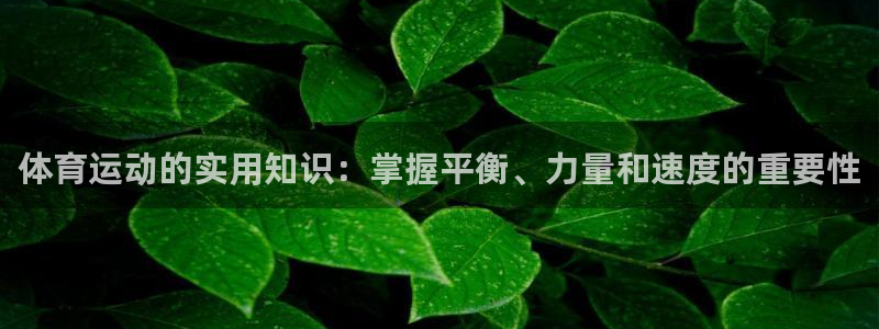 home88—必发全球：体育运动的实