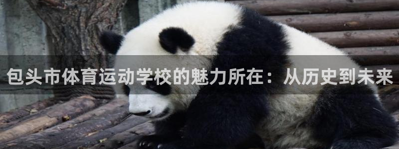 必发平台正规吗：包头市体育运动学校的魅力所在：从历史到未来