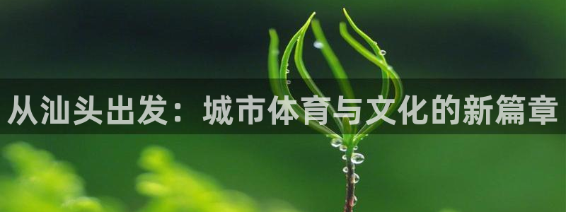  必发官网登陆全球顶级：从汕头出发：城市体育与文化的新篇章