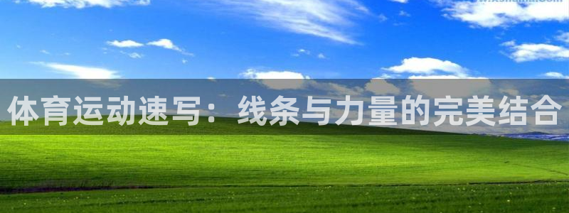 必发官方版app下载
