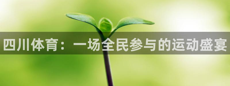 必发官网下载平台注册要钱吗安全吗：四川体育：一场全民