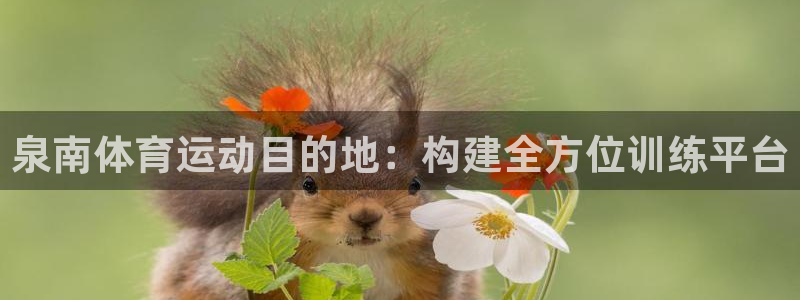 必发官方正版app集团logo:泉南体育运动目的地:构建全方